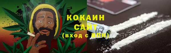 ALPHA PVP Богородицк