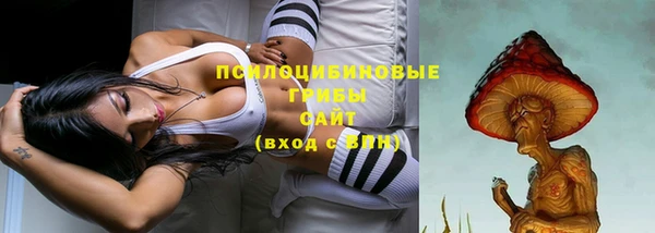 не бодяженный Белокуриха