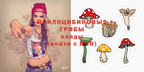 ALPHA PVP Беломорск