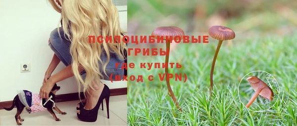 ALPHA PVP Богородицк