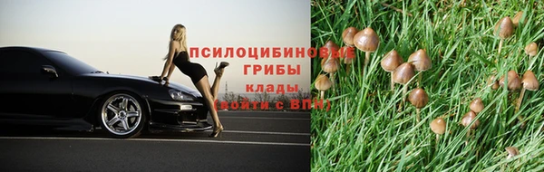 таблы Богородск