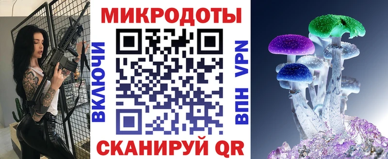 Псилоцибиновые грибы Cubensis Белореченск